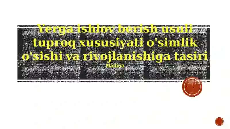 Tuproq Xususiyatlari va O'simlik O'sishi