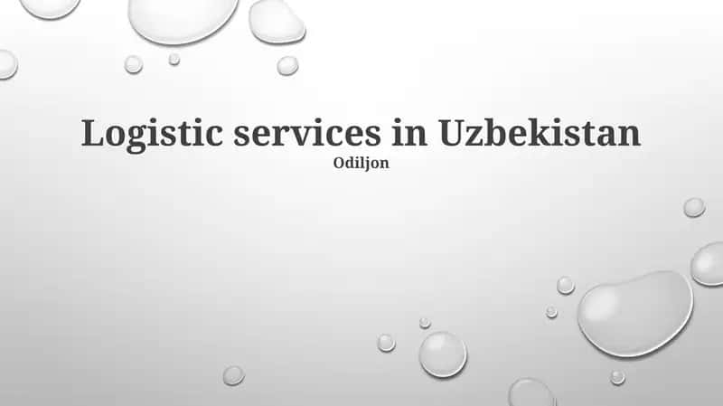 Uzbekistan Logistics Landscape: Market Dynamics & Infrastructure 1