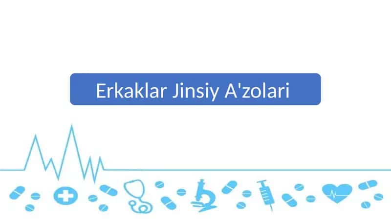 Erkaklar Jinsiy A'zolari 1