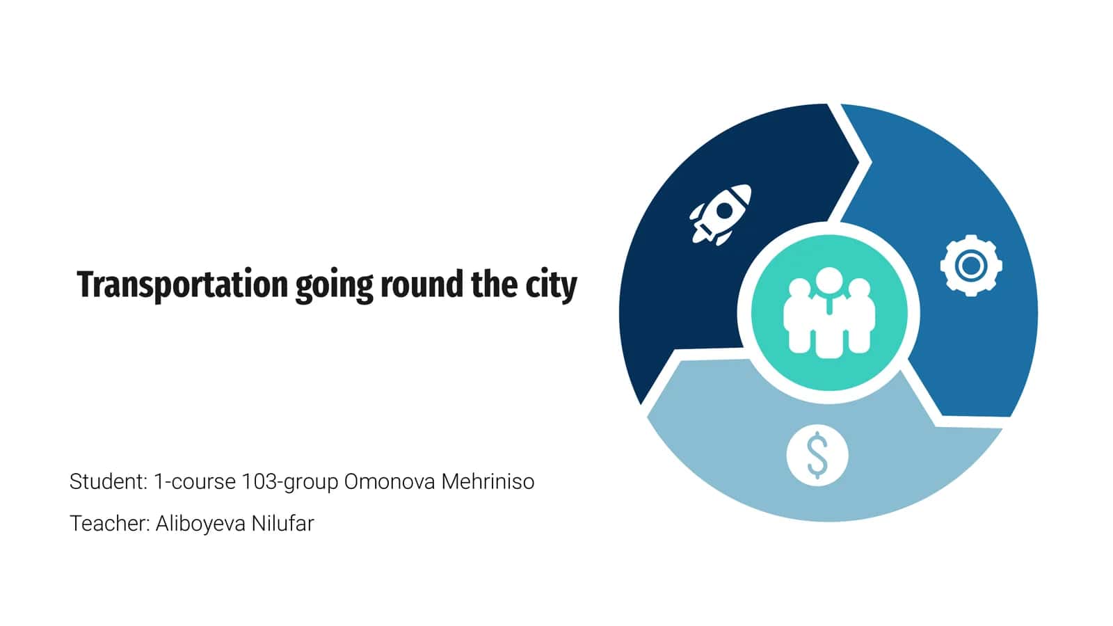 City Transportation Overview 1