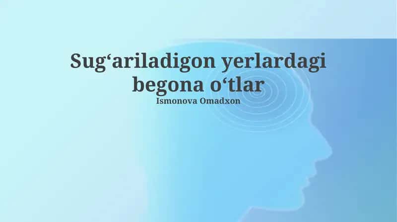 Sugʻariladigon yerlardagi begona oʻtlar 1
