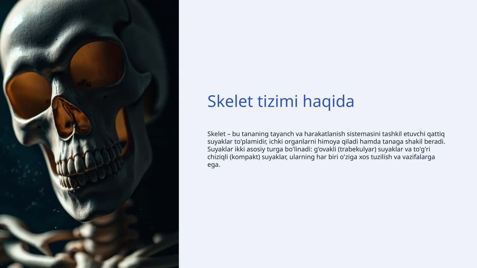 Skelet tizimi haqida 1
