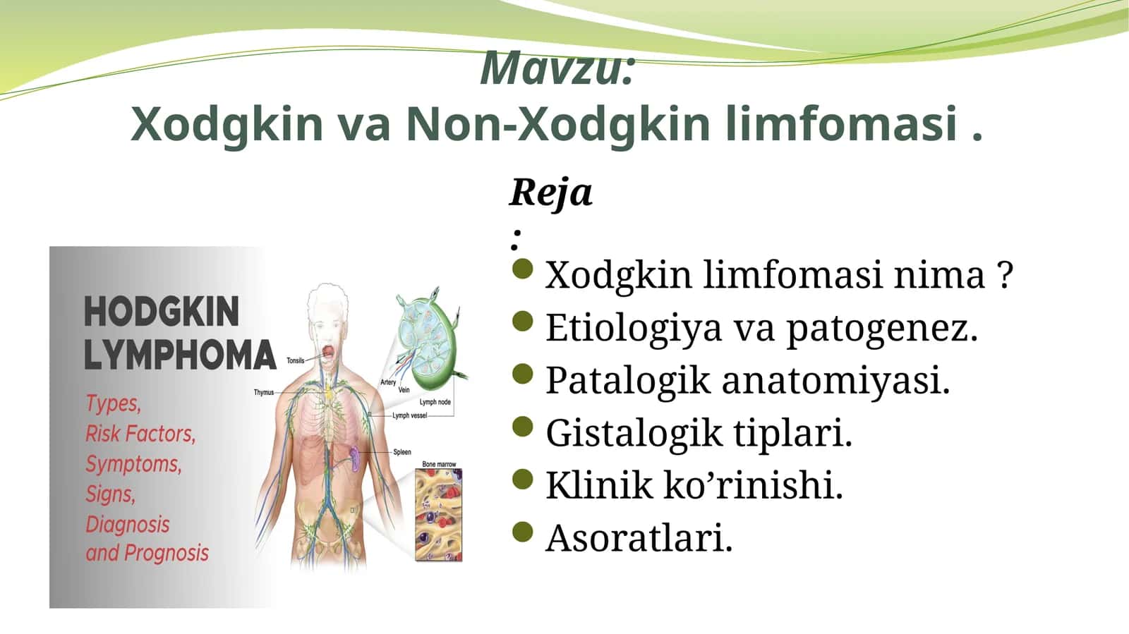 Xodgkin va Non-Xodgkin limfomasi 1
