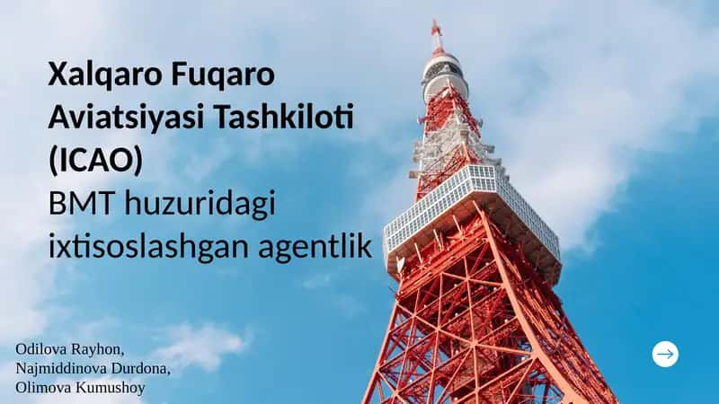 Xalqaro Fuqaro Aviatsiyasi Tashkiloti(ICAO) 1