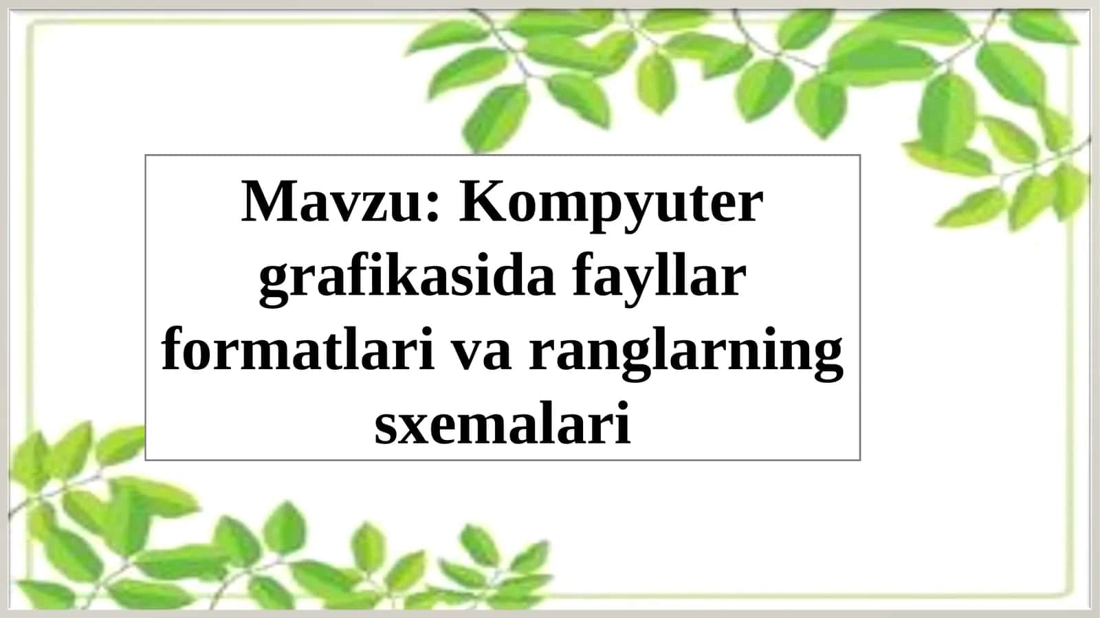 Kompyuter grafikasida fayllar formatlari va ranglarning sxemalari 1