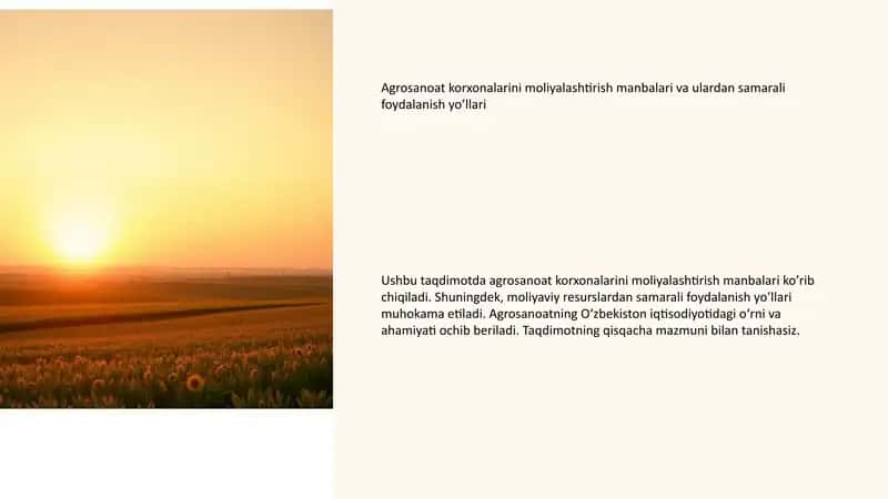 Agrosanoat korxonalarini moliyalashtirish manbalari 1