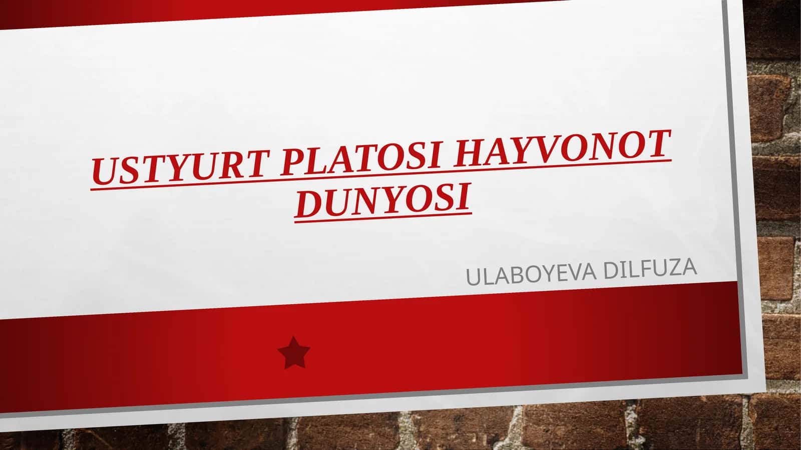 Ustyurtplatosi hayvonot dunyosi 1