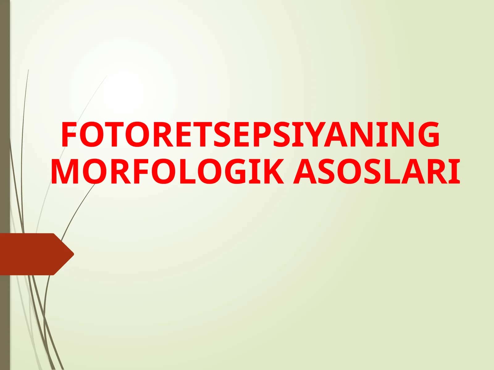FOTORETSEPSIYANING MORFOLOGIK ASOSLARI 1