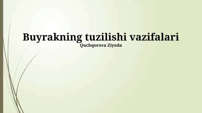 Nefronning tuzilishi va vazifasi 1