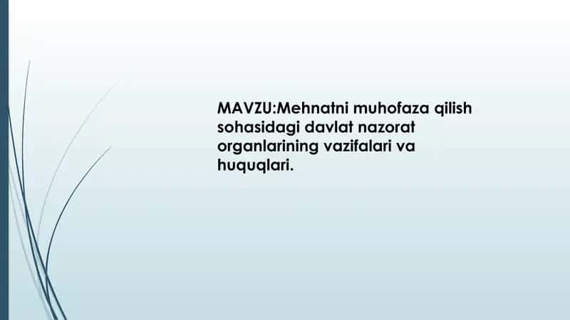 Davlat nazorati mehnat sohasida 1