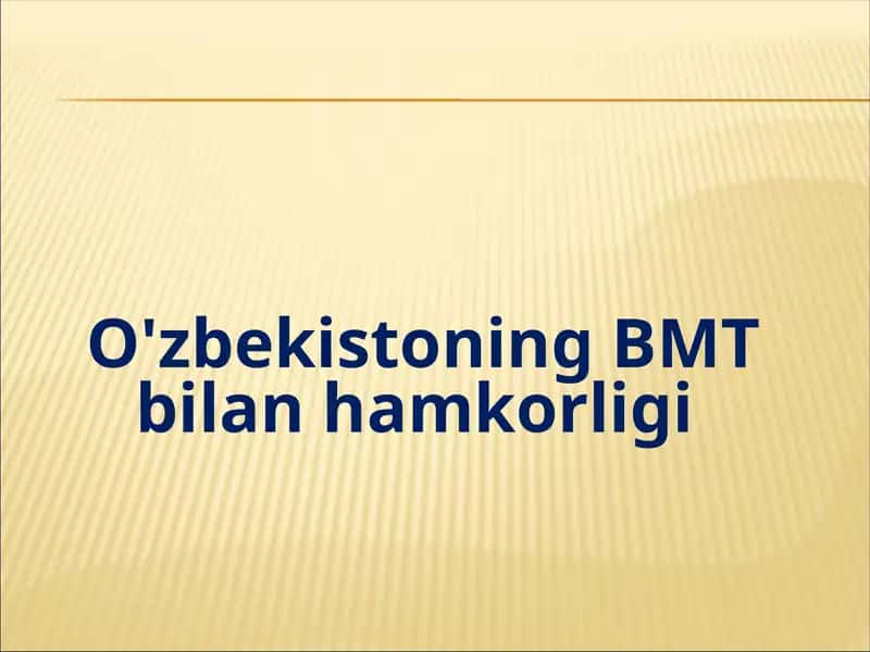 Birlashgan millatlar tashkiloti (BMT) 1