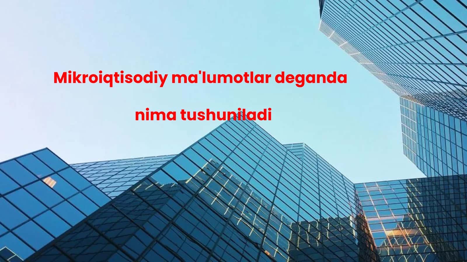 Mikroiqtisodiy ma'lumotlar 1