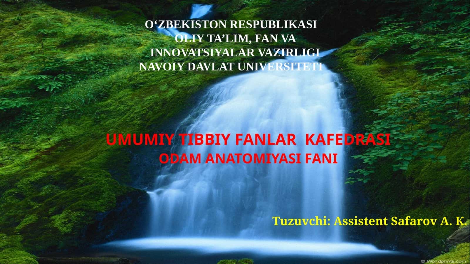 Odam anatomiyasi fani 1
