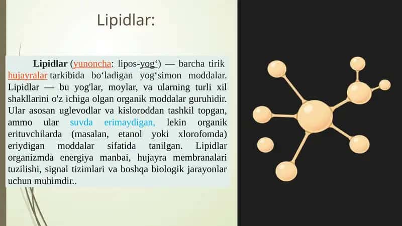 Lipidlar 1