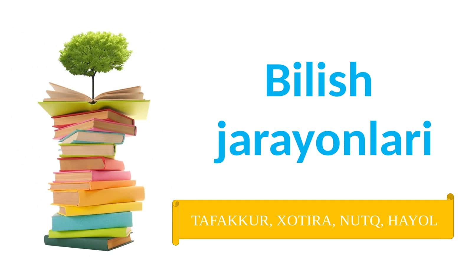 TAFAKKUR, XOTIRA, NUTQ, HAYOL 1