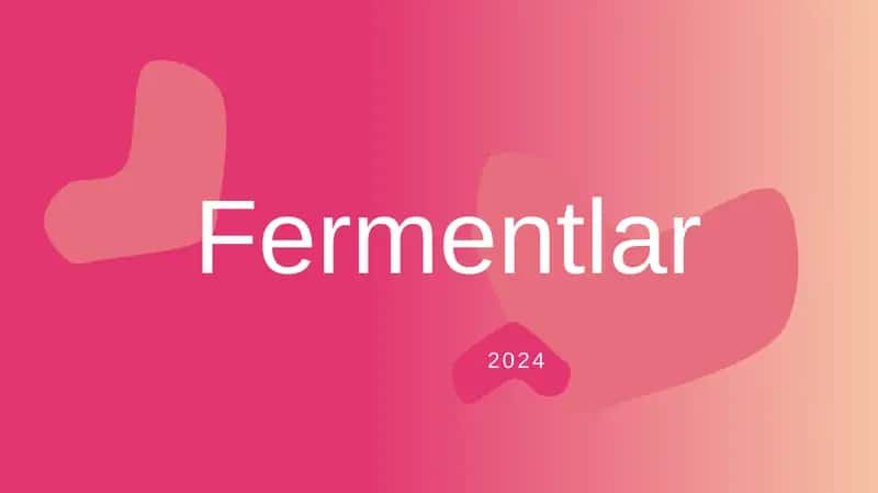Fermentlar 1
