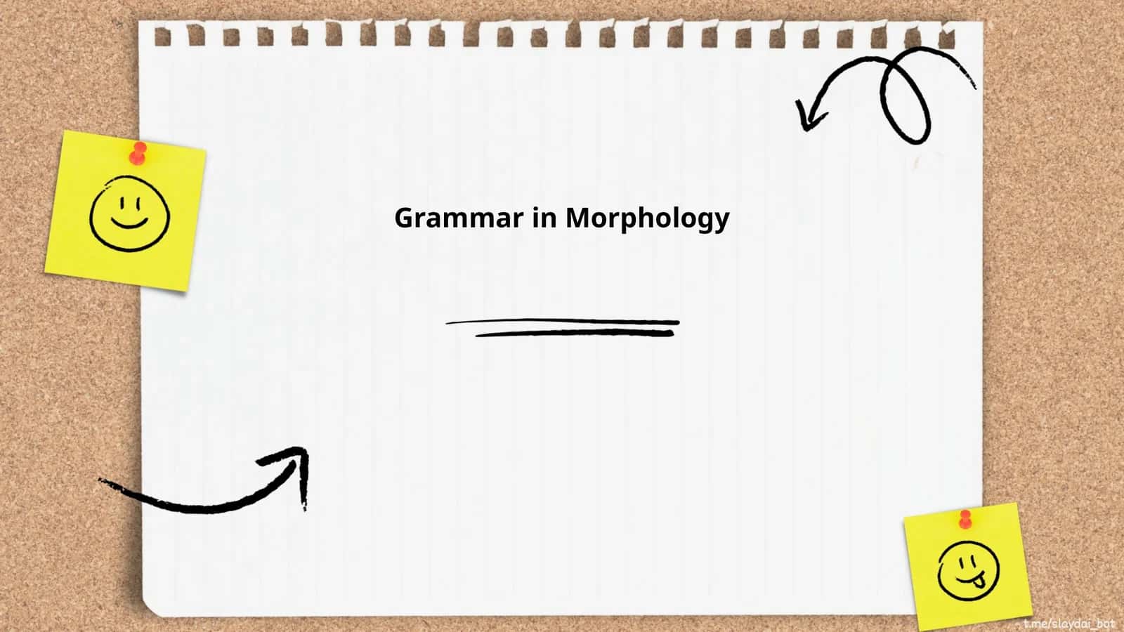 Grammar in Morphology 1