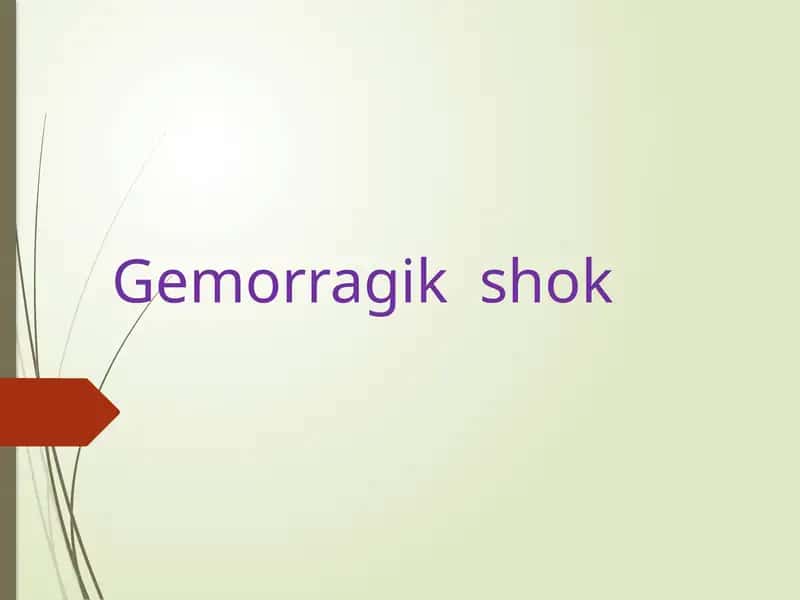 Gemorragikshok
