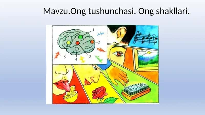Ong tushunchasi va shakllari 1