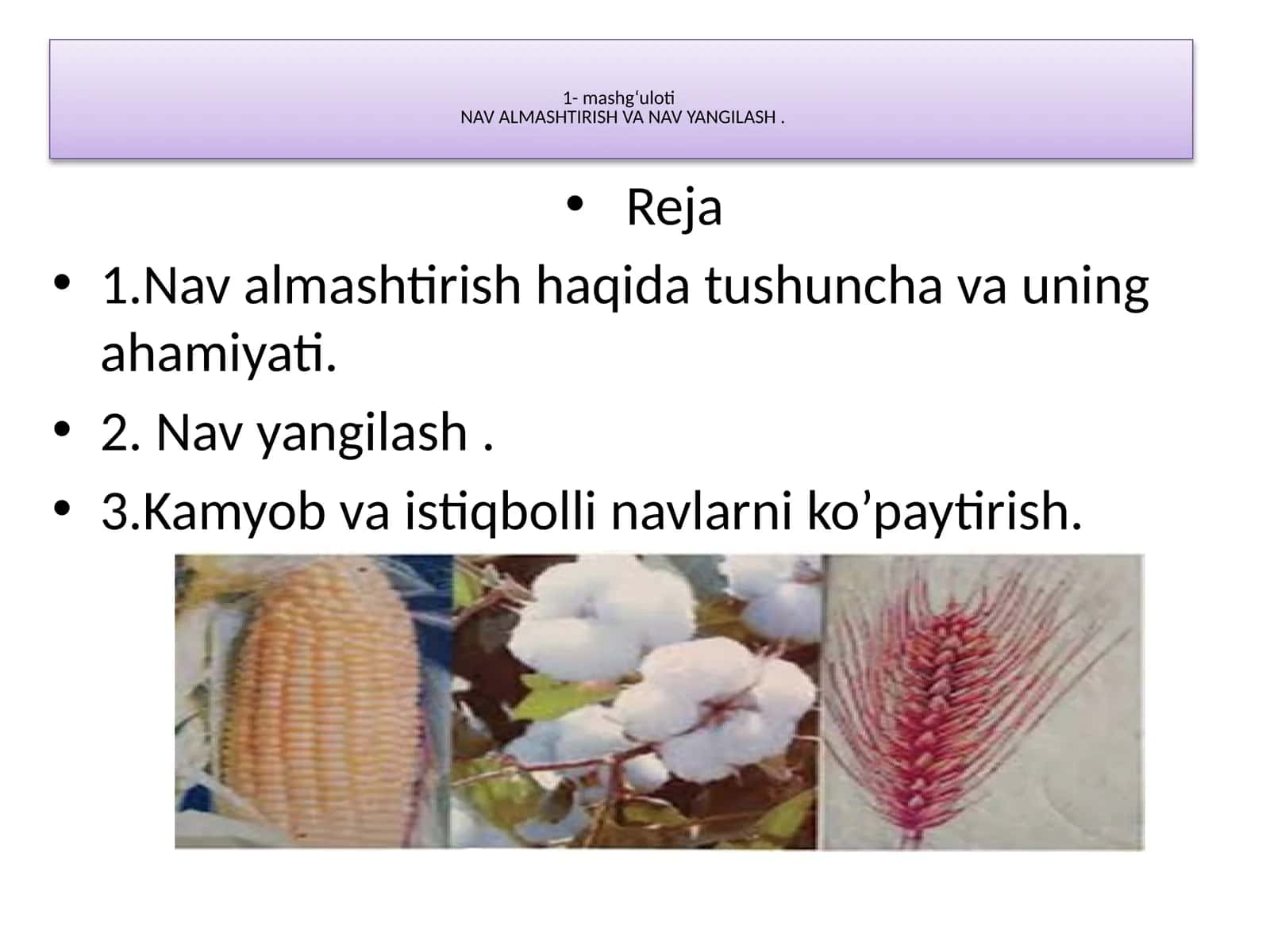 Navalmashtirish va Yangilash 1