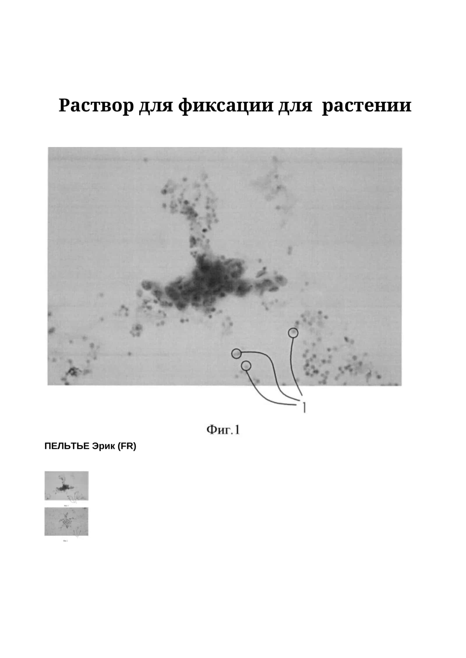 Раствор для фиксации для растении 1