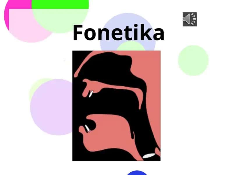 Fonetika 1