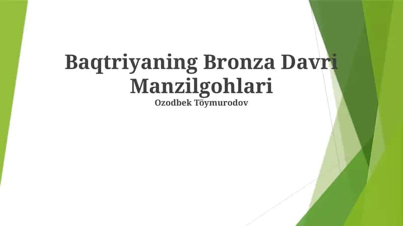 Baqtriyaning Bronza Davri Manzilgohlari 1