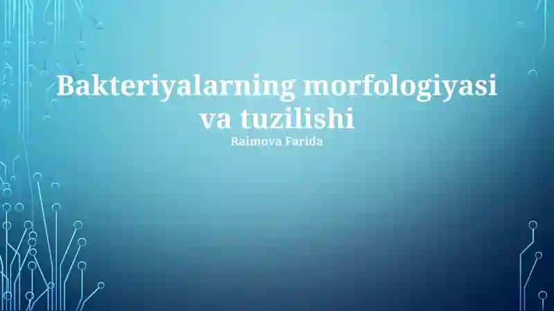 Bakteriyalarning morfologiyasi va tuzilishi