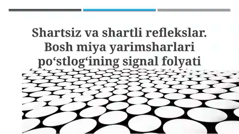 Shartsiz va shartli reflekslar