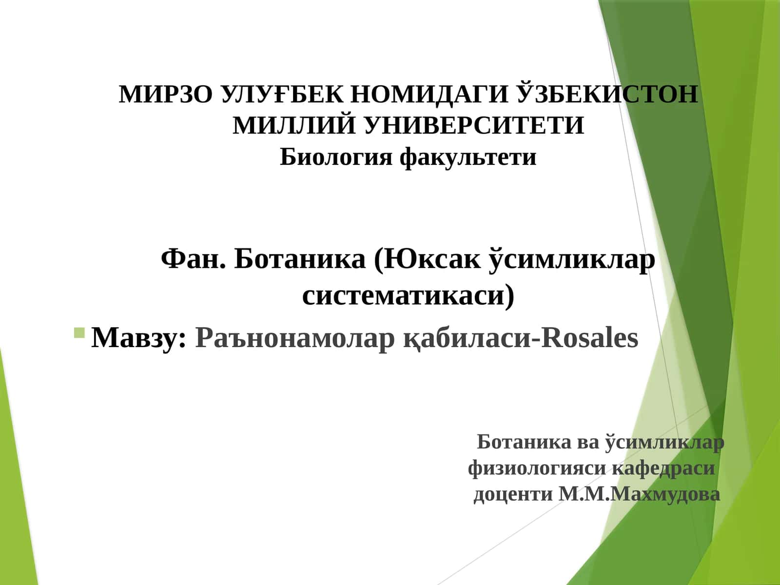 Раънонамолар қабиласи-Rosales 1