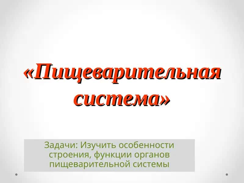 "Пищеварительная система" 1