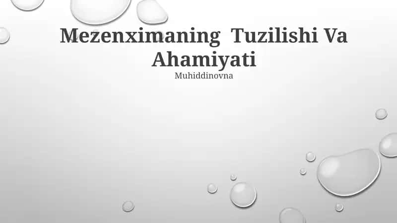 Mezenximaning Tuzilishi Va Ahamiyati 1