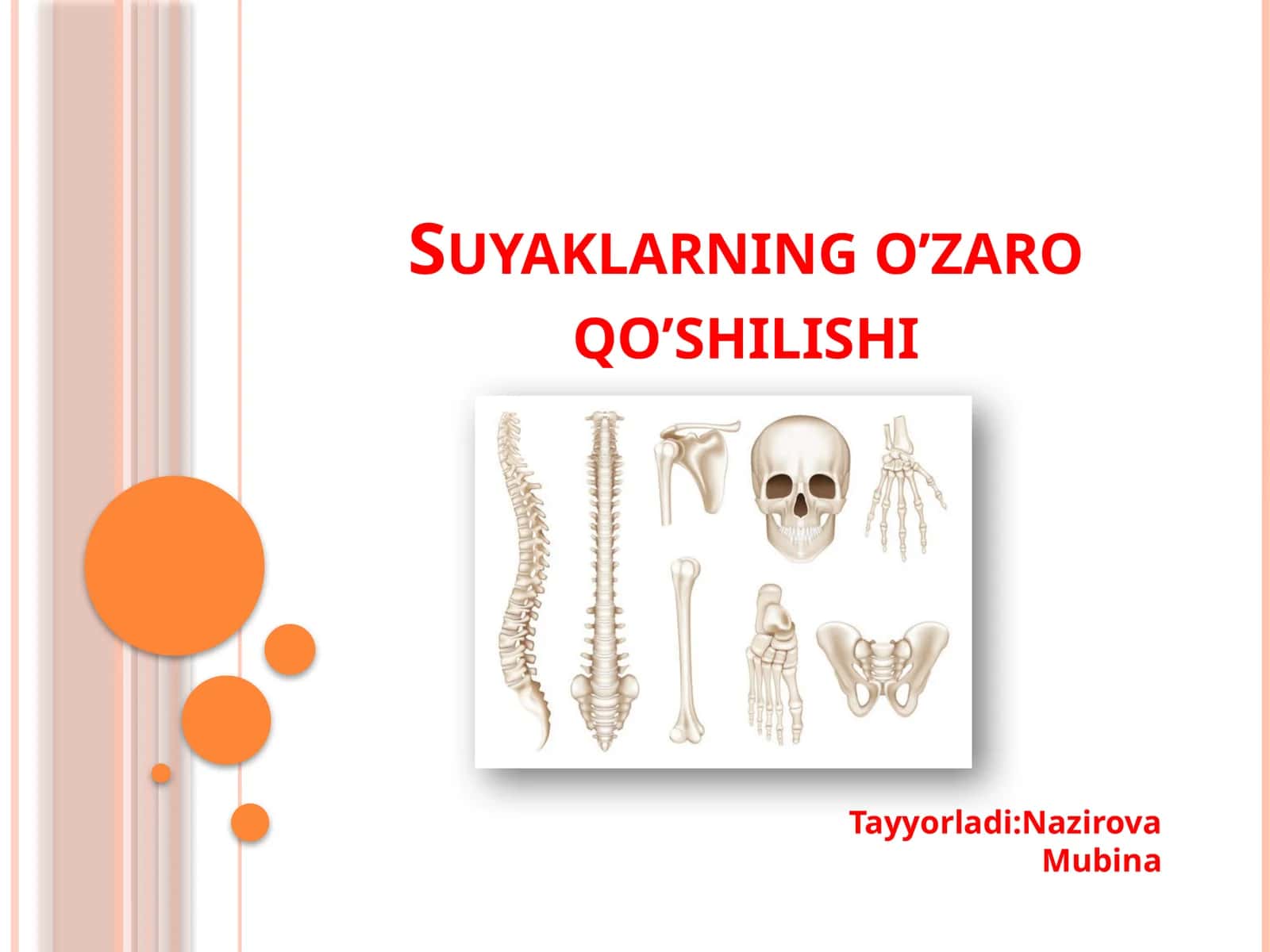 Suyaklarning o'zaroq o'shilishi 1
