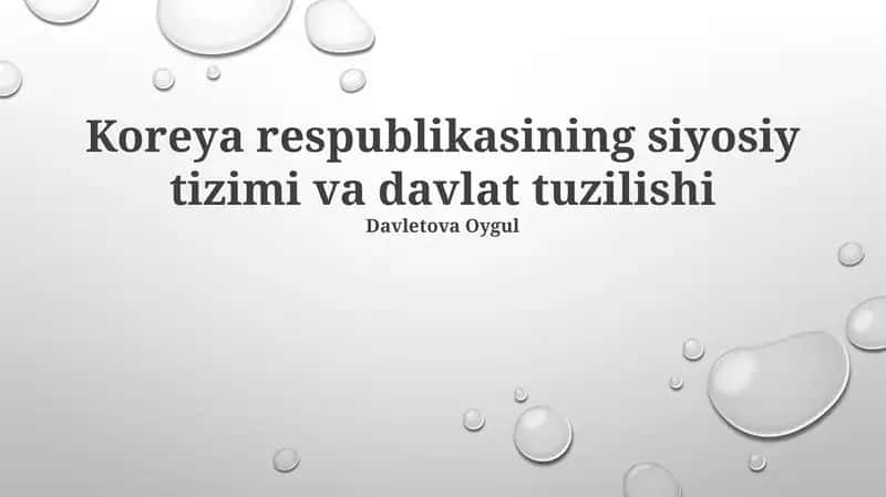 Koreya respublikasining siyosiy tizimi va davlat tuzilishi 1