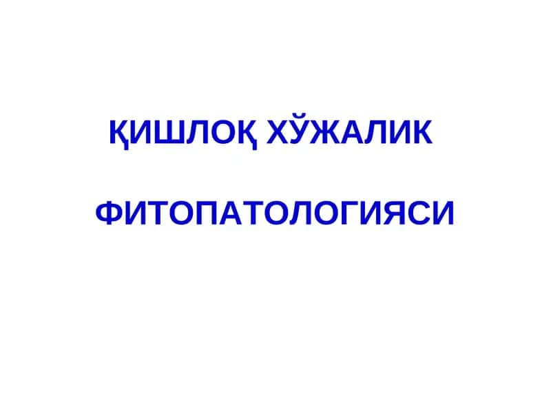 ҚИШЛОҚ ХЎЖАЛИКФИТОПАТОЛОГИЯСИ 1