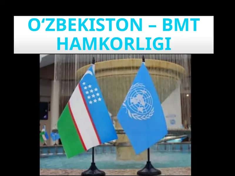 O‘ZBEKISTON – BMT HAMKORLIGI Reja 1