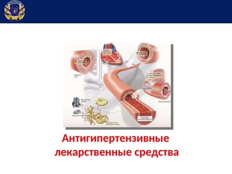 Антигипертензивные лекарственные средства 1