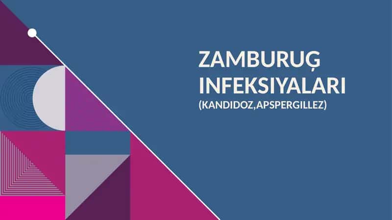 Zamburuģ infeksiyalari 1