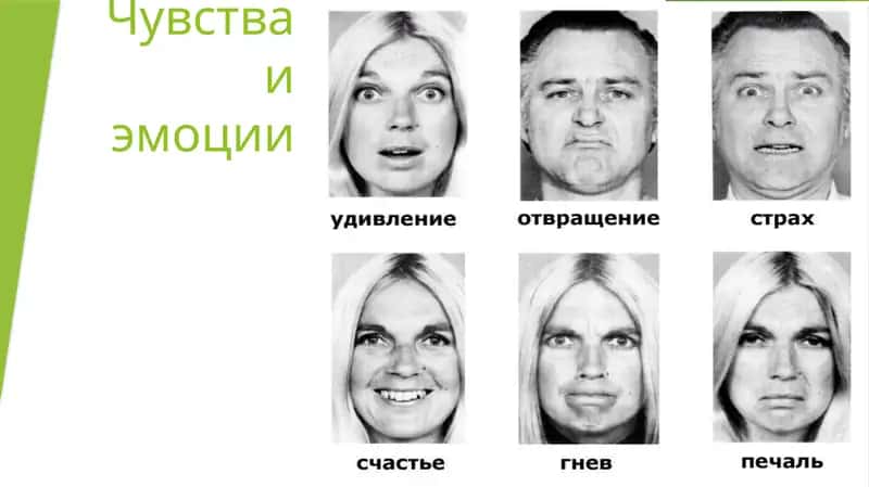 чувства и эмоции 1
