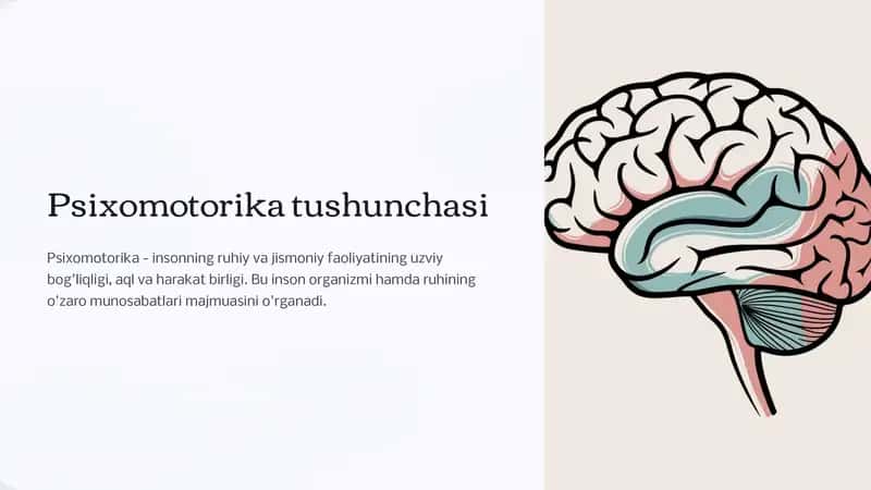 Psixomotorika tushunchasi 1