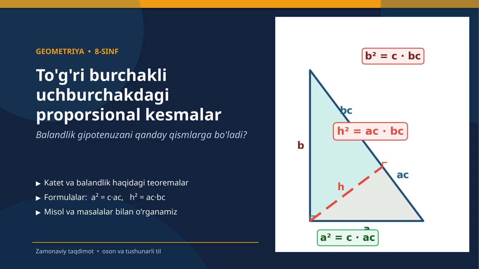 To'g'ri burchakli uchburchakdagi proporsional kesmalar 1