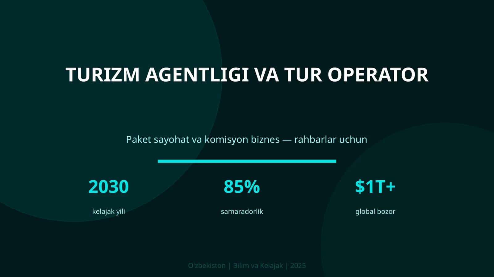 Turizm Agentligi va Tur Operator 1
