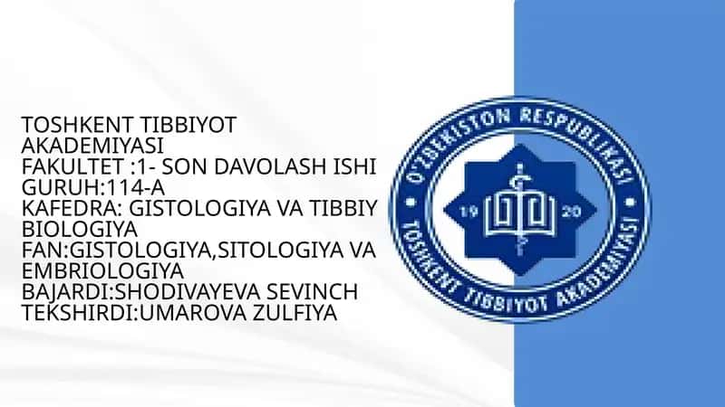 Limfotsitlar TUZILISHI 1