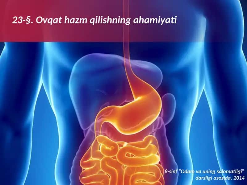 Ovqathazmqilishningahamiyati 1