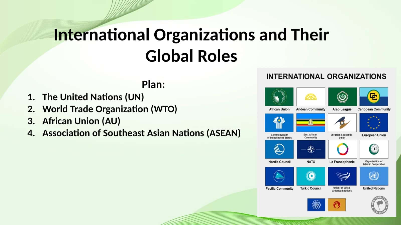 International Organizations and Their Global Roles 1