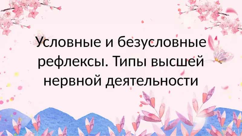 Безусловные и условные рефлексы 1