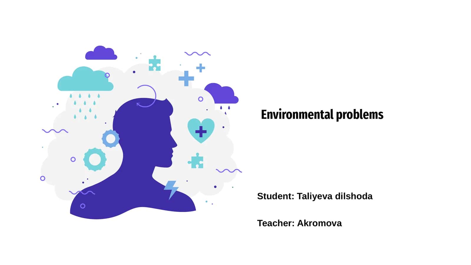 Environmental problems 1