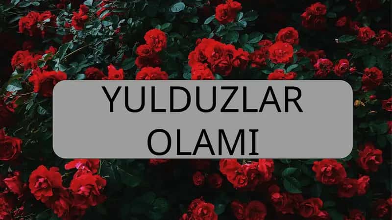 Yulduzlar Olami 1