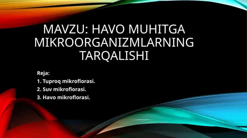 Tuproq mikroflorasi 1