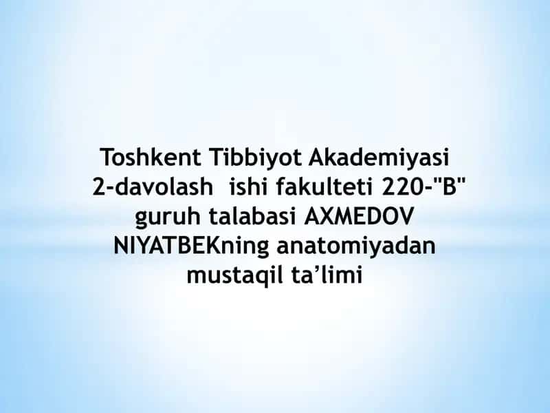 Orqa miya anatomiyasi 1
